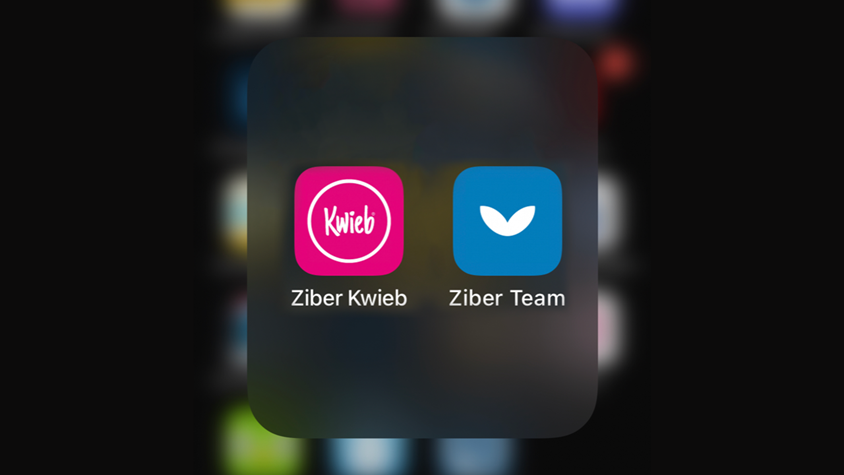 ziber team